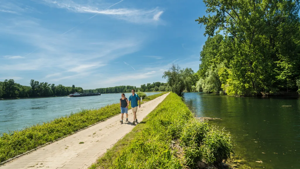 Wanderer zwischen Rhein und Altrhein auf dem Treidlerweg