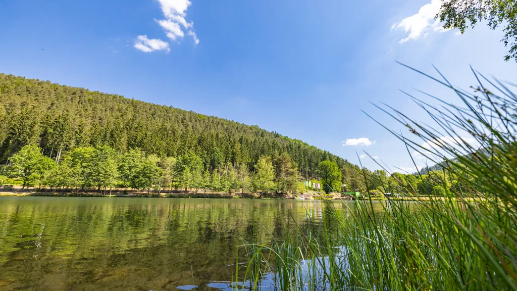 Der Badsee Clausensee in Waldfischbach-Burgalben im Pfälzerwald gelegen mit strahlendblauem Himmel.