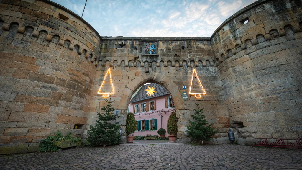 Die Stadtmauer von Freinsheim zur Weihnachtszeit. An der Mauer hängen Weihnachtslichter und davor stehen Tannenbäume.