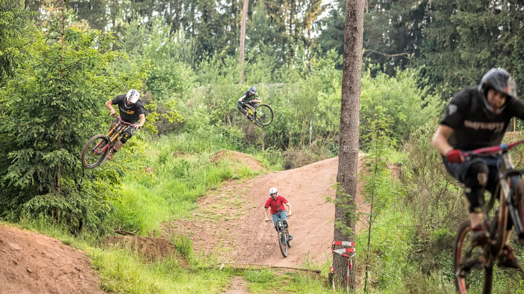 Mountainbiker*innen im Bikepark Trippstadt die auf ihren Rädern ein hügeliges Waldgeländer befahren.