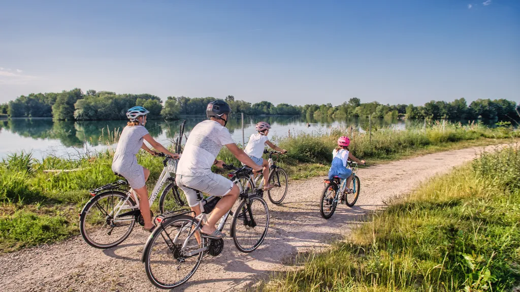 Eine Familie fährt mit dem Rad auf einem Radweg an der Radtouren an der Rheinschleife.