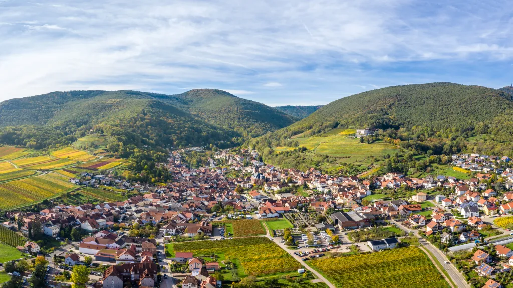  Herbstliches Weinland in St. Martin 