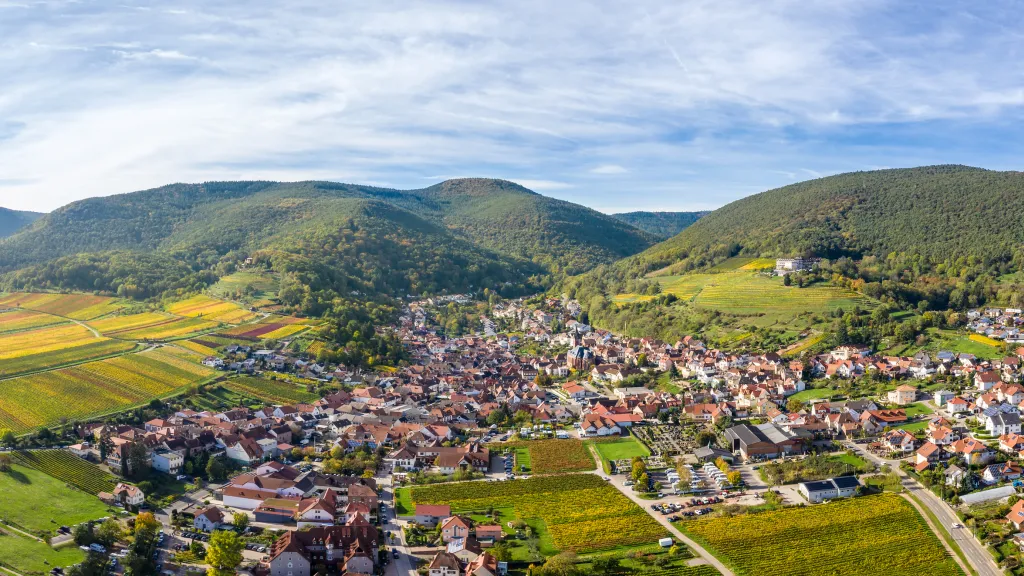  Herbstliches Weinland in St. Martin 