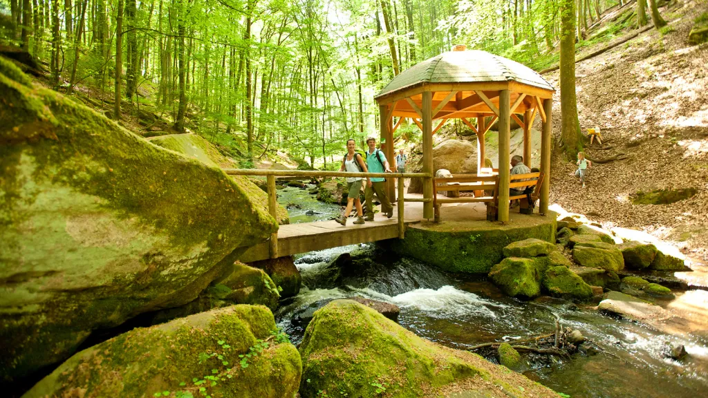  Eine Person wandert in der Karlstalschlucht bei Trippstadt am Pfälzer Waldpfad.
