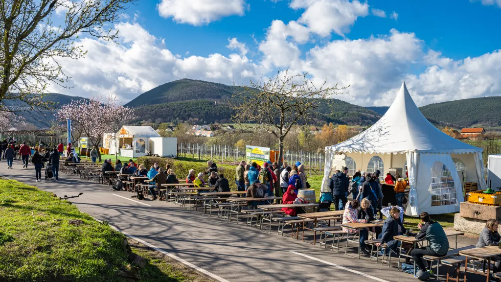 Besuchende auf der Mandelmeile Edenkoben