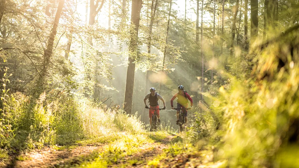 Zwei Mountainbiker fahren durch den Wald. Die Sonne scheint durch die Baumkronen.