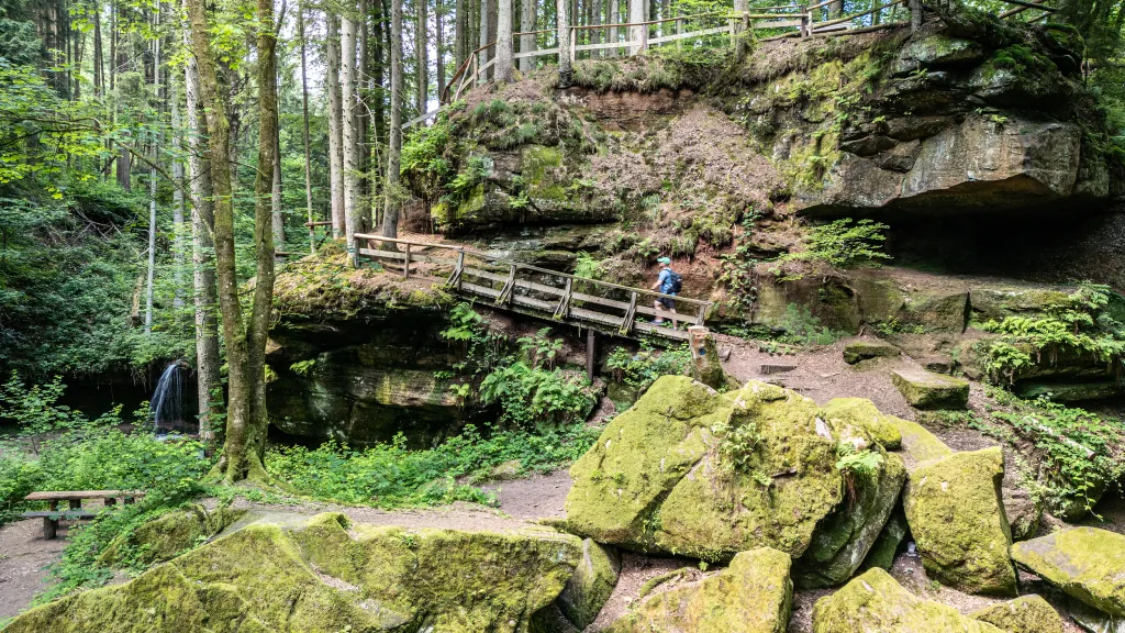 Ein Wanderpfad der sich entlang Sandsteinfelsen durch den Wald windet. 