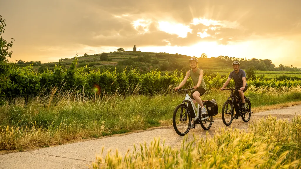 Zwei Personen fahren Rad in den Weinbergen.