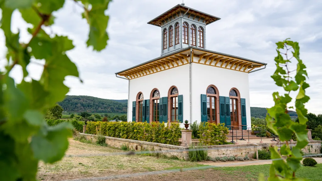 Der Teepavillon in Ruppertsberg an einem Sommertag, im Hintergrund erstrecken sich die Weinberge.