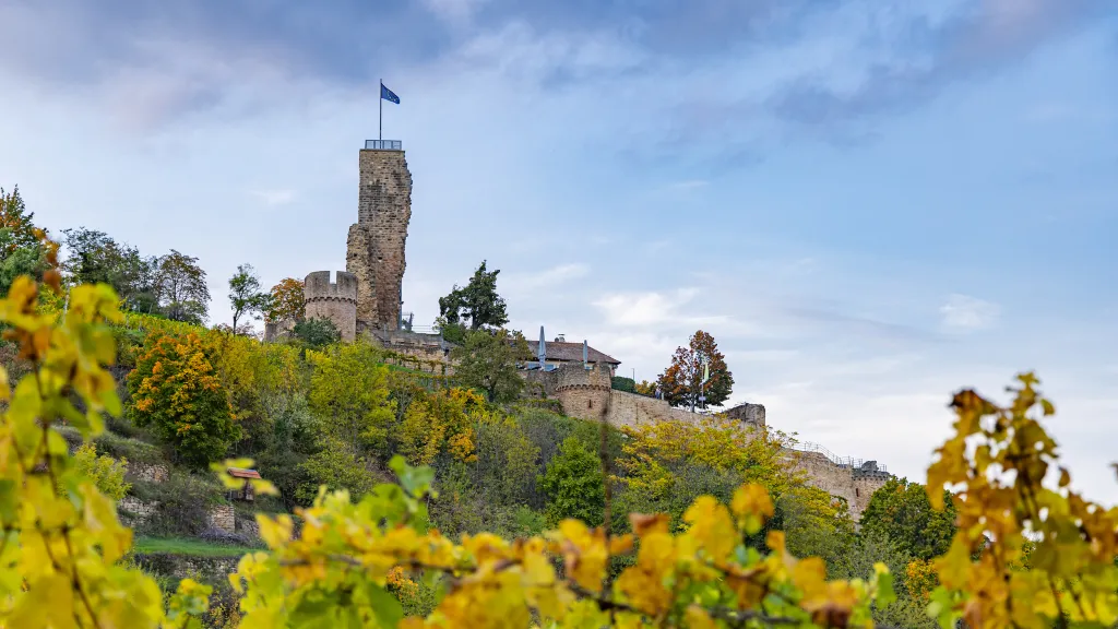 Die Wachtenburg in Wachenheim zur Herbstzeit, umgeben von den bunten Herbstblättern der Weinreben.