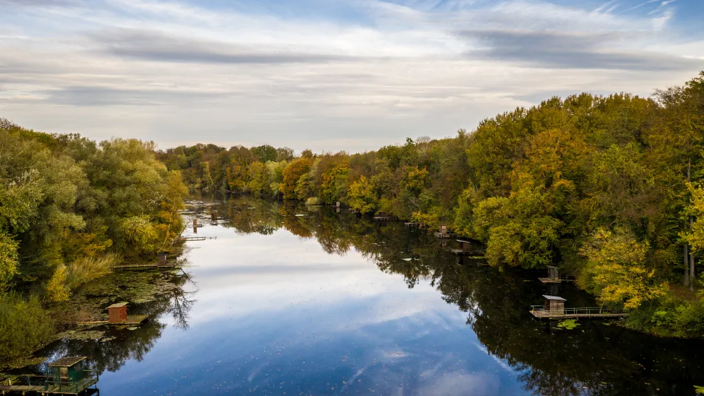 Der Altrhein bei Jockgrim zur Herbstzeit. Bäume entlang des Altrheins spiegeln sich im Wasser des Flusses. 