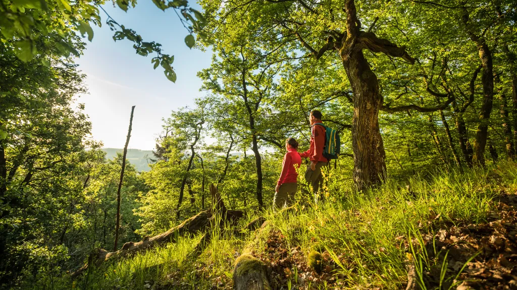 Zwei Personen Wandern im Pfälzer Bergland an einem Sommertag. Sie genießen den Ausblick von einer Lichtung aus.