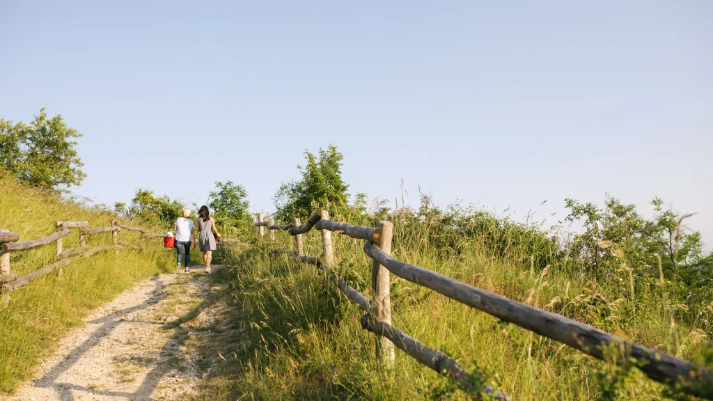 Weinwanderung in der Pfalz
