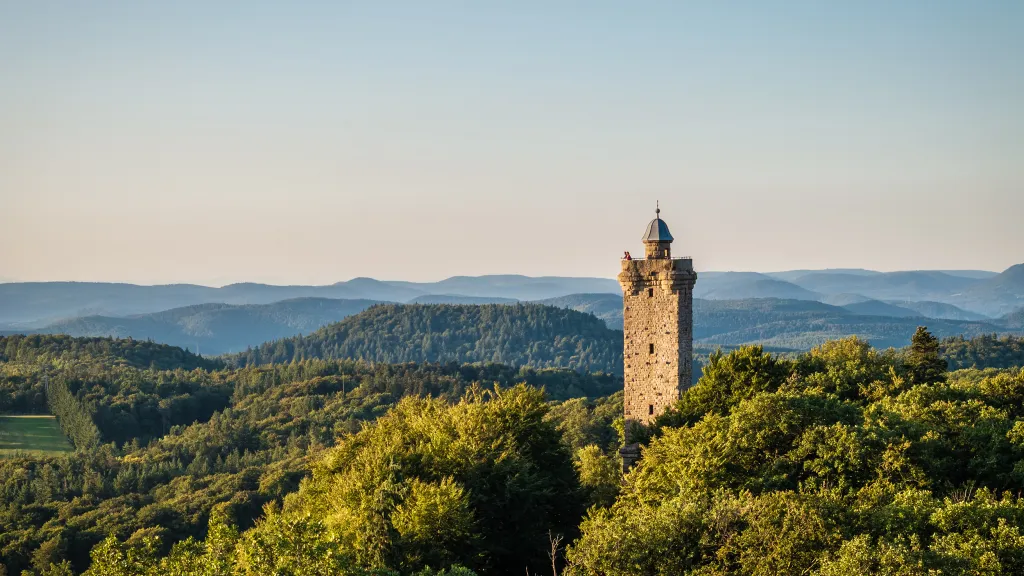 Der Luitpoldturm bei Merzalben ist ein Turm, der mitten im Pfälzerwald steht und aus den Bäumen herausragt.