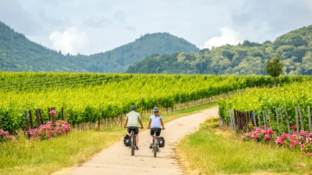 Zwei Personen fahren mit dem Rad auf der Weinlagen-Tour 