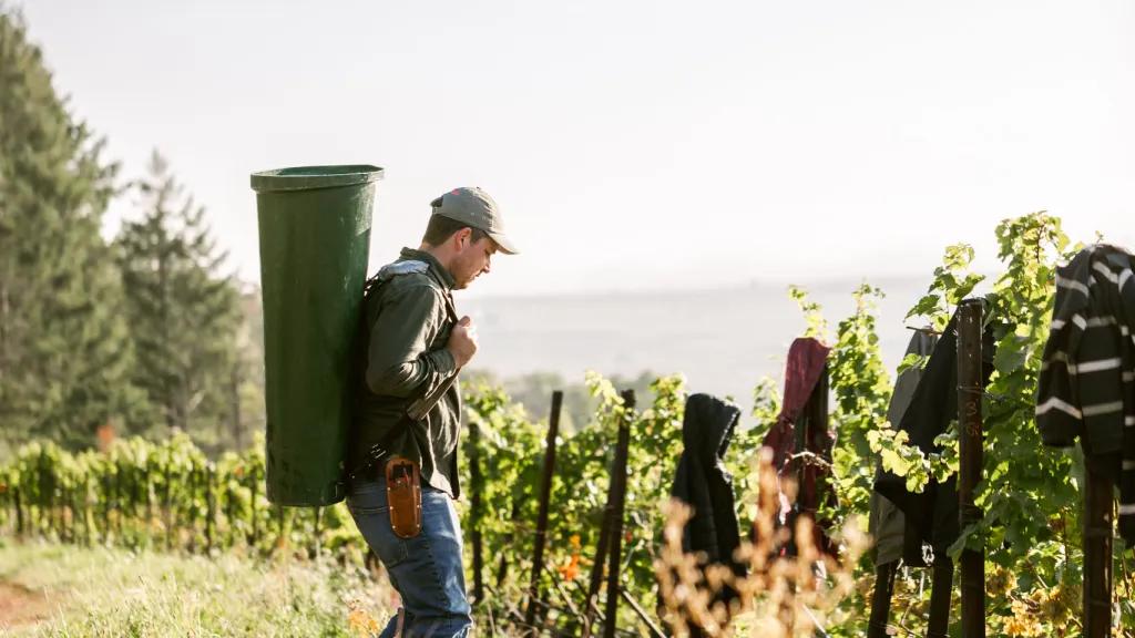 Die Pfalz. Auf der EUROVINO
