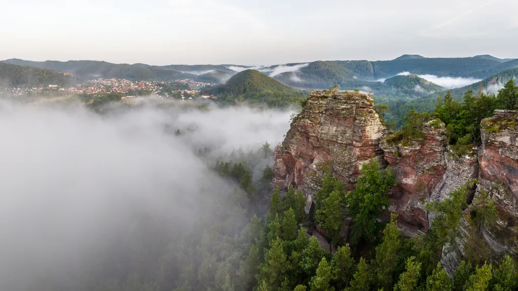  Buntsandsteinfelsen im Morgendunst bei Hauenstein