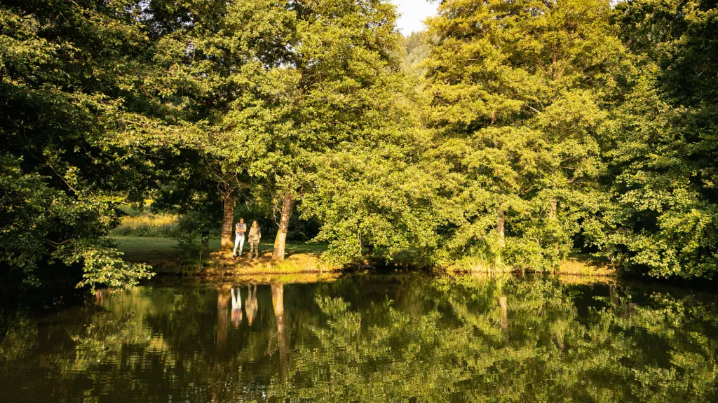 Zwei Personen stehen am Ufer des Helmachweihers. Das Licht der untergehenden Sonne lässt den Wald und den Weier in einem gold-grün erstrahlen.