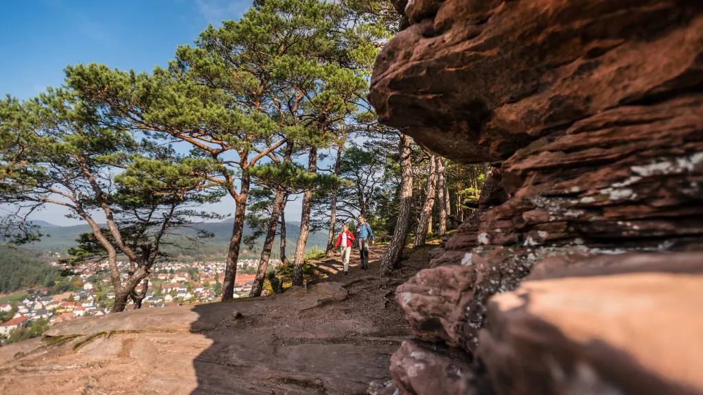 Zwei Personen  wandern auf dem Hauensteiner Schusterpfad an Sandsteinfelsen vorbei.