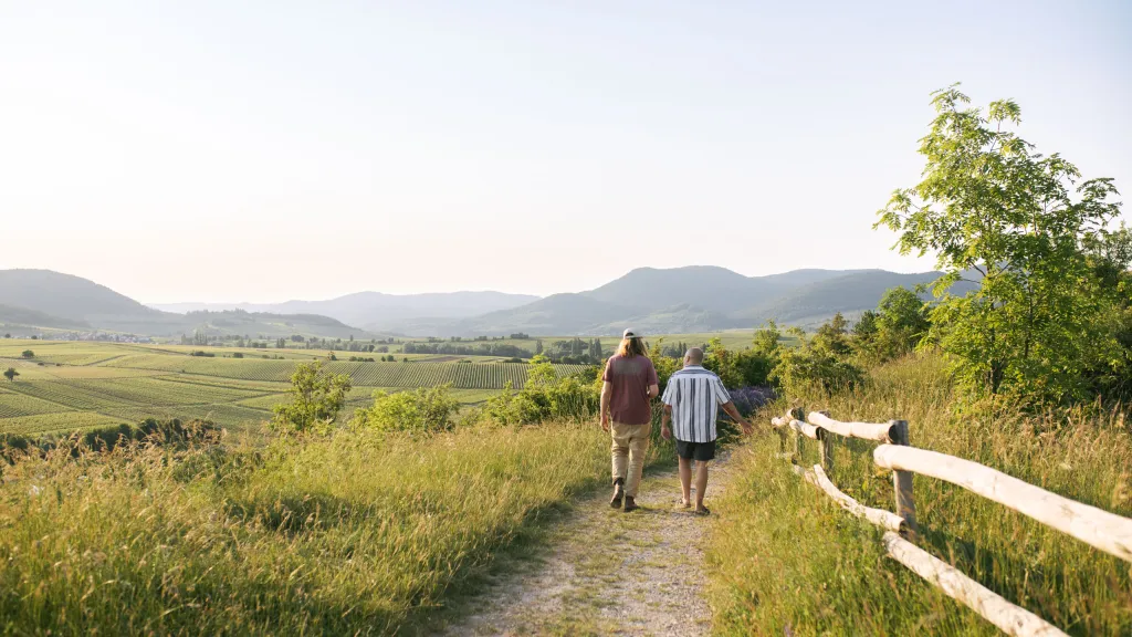 Weintourismus in der Pfalz