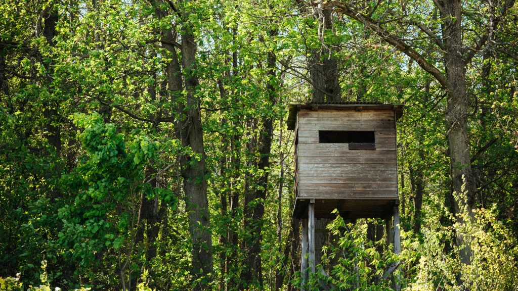 Hochsitz im Pfälzer Wald