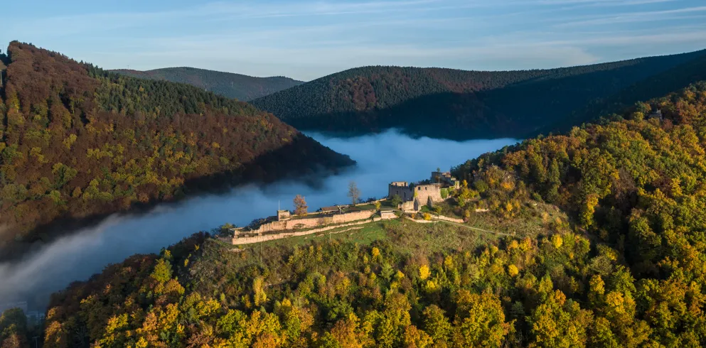 Die Wolfsburgruine Neustadt