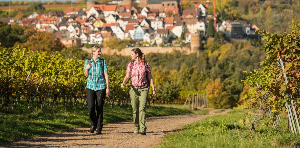 Zwei Personen wandern an einem Sommertag auf dem Leininger Burgenweg.