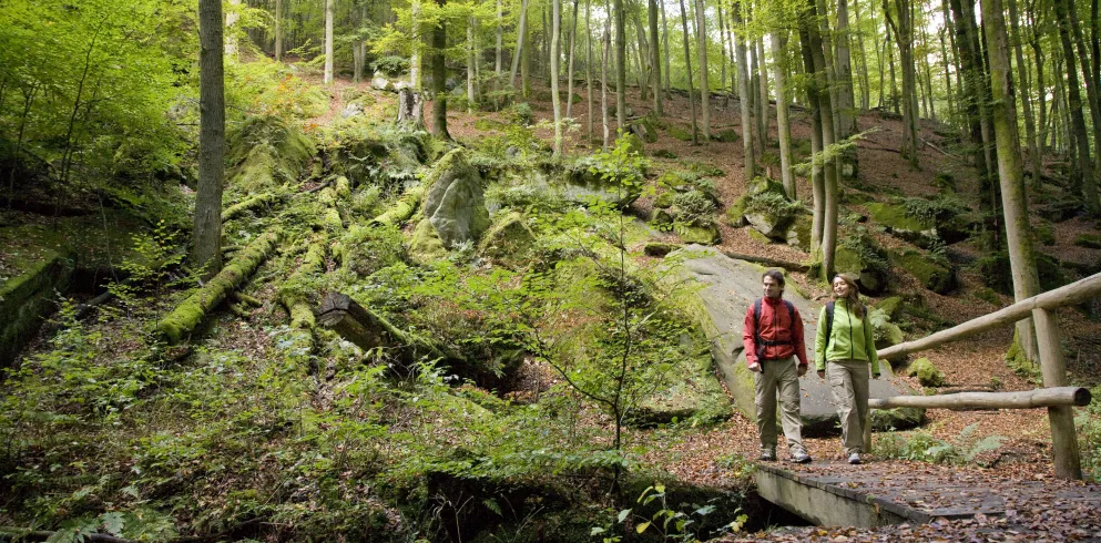 Wanderung durch die Karlstalschlucht