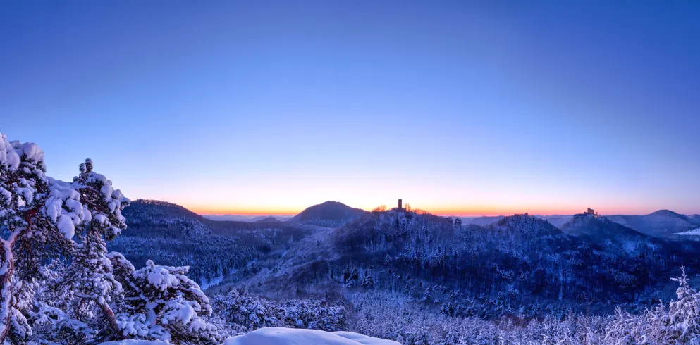 Panoramausblick über den verschneiten Pfälzerwald