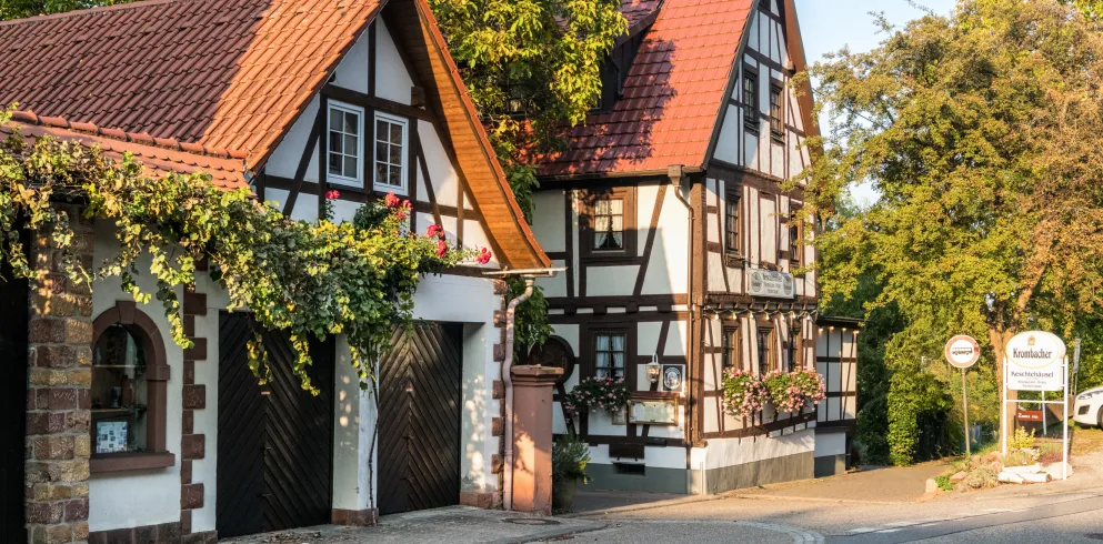 Unterkünfte & Arrangements Pfälzer Wandermenü 