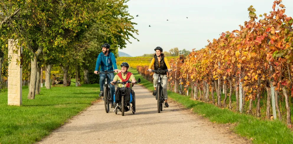 Biblischer Weinlehrpfad Kirrweiler