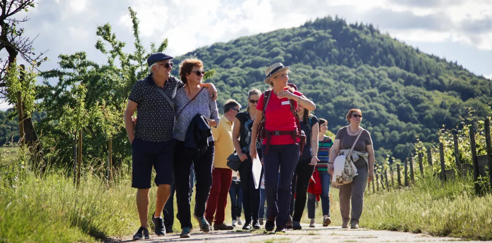 Genusstour Leinsweiler durch die Weinberge