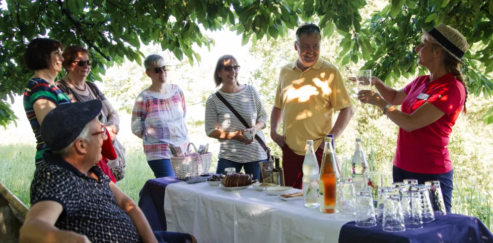 Mit Wein- und Kulturbotschafterin Frau Stübinger-Kohls bei der Rast im Grünen