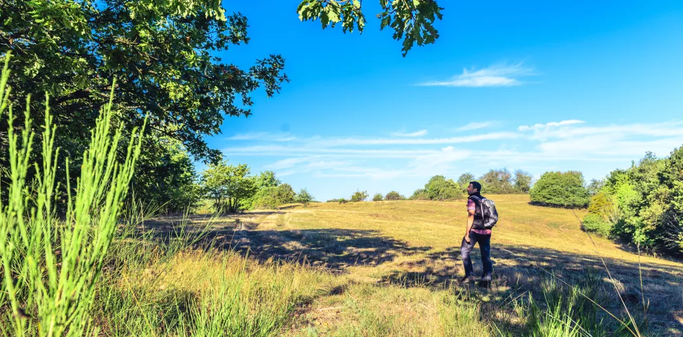 Einsamer Wanderer auf dem Veldenz Wanderweg genießt die Ruhe