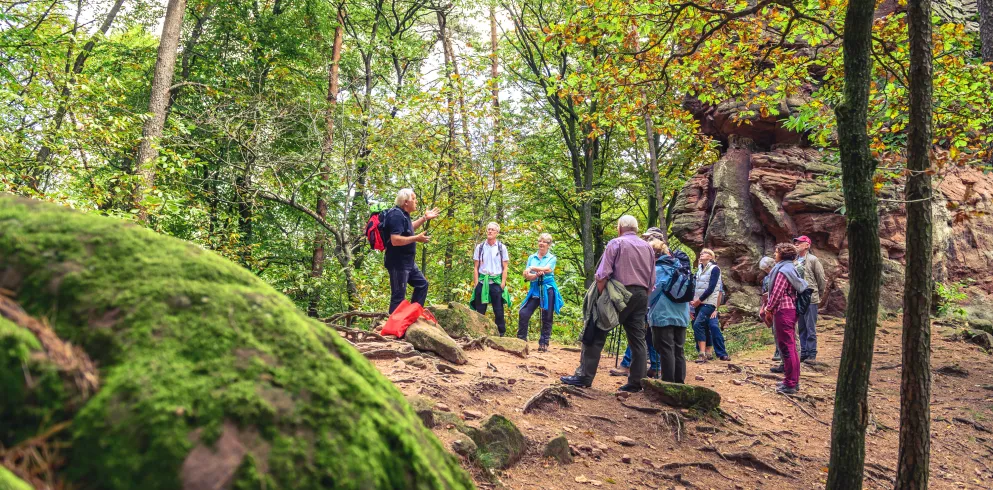 Zwischenstopp auf der Kastanienwanderung, Aufstieg zu den Geiersteinen bei Lug 