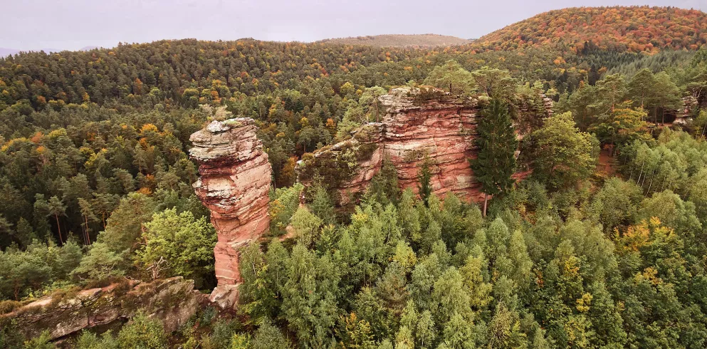 Drohnenansicht Felsformation Pfälzerwald bei Dahn