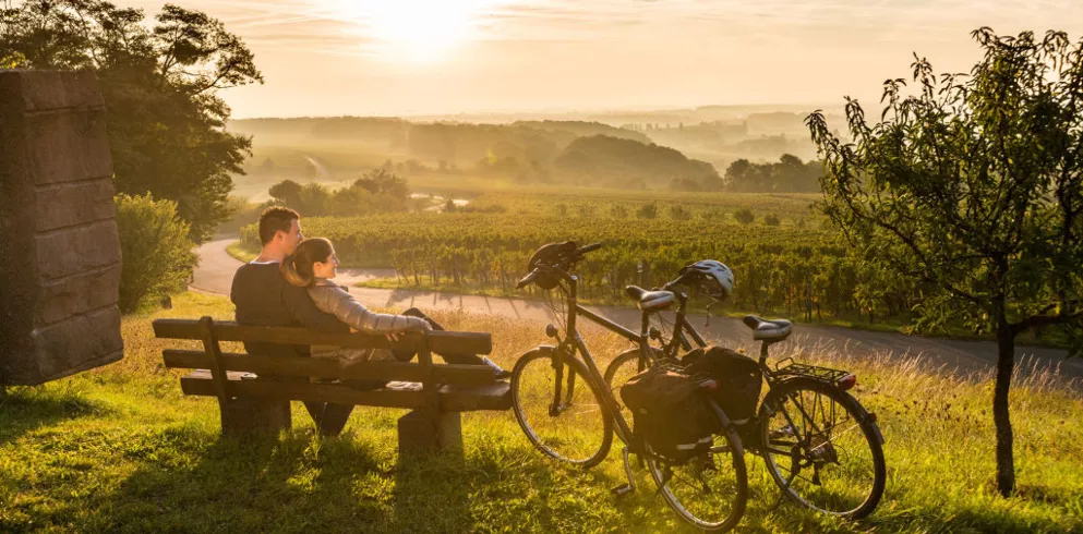 Radurlaub in der Pfalz - rundum sorglos