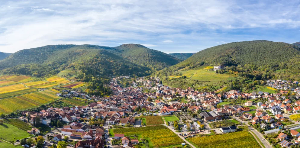 Lernen Sie die Pfälzer Facetten kennen