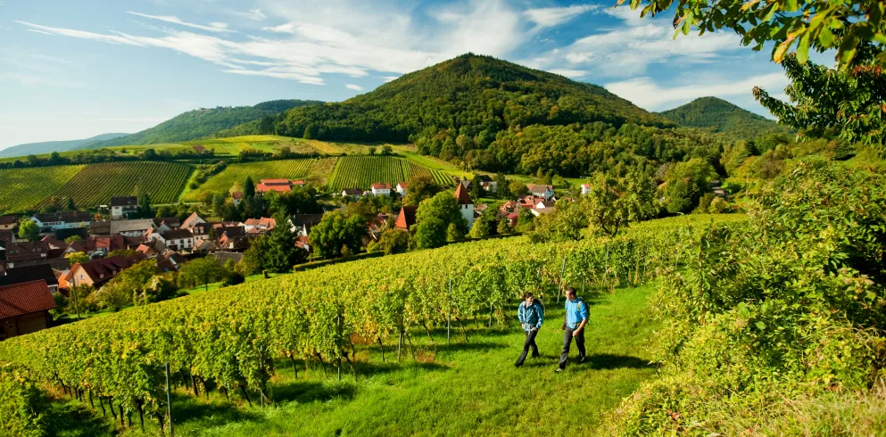 Weinreisen in der Pfalz - Weinsteig bei Leinsweiler