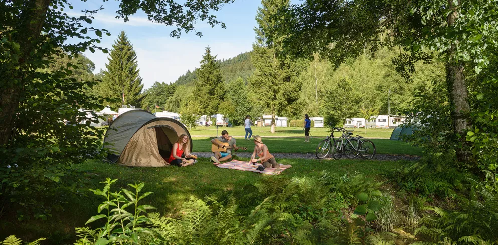 Camping im Pfälzerwald