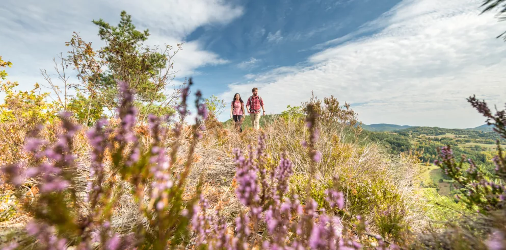 Wanderer auf einer Anhöhe des Rimbach-Steigs