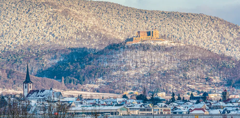 Maikammer und Hambacher Höhe im Winter