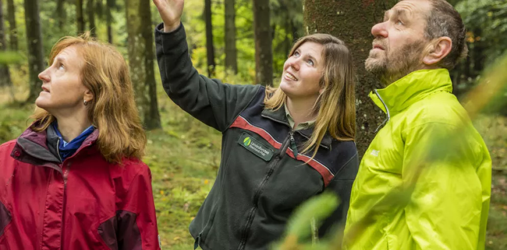 Waldbesuch Landesforsten RLP