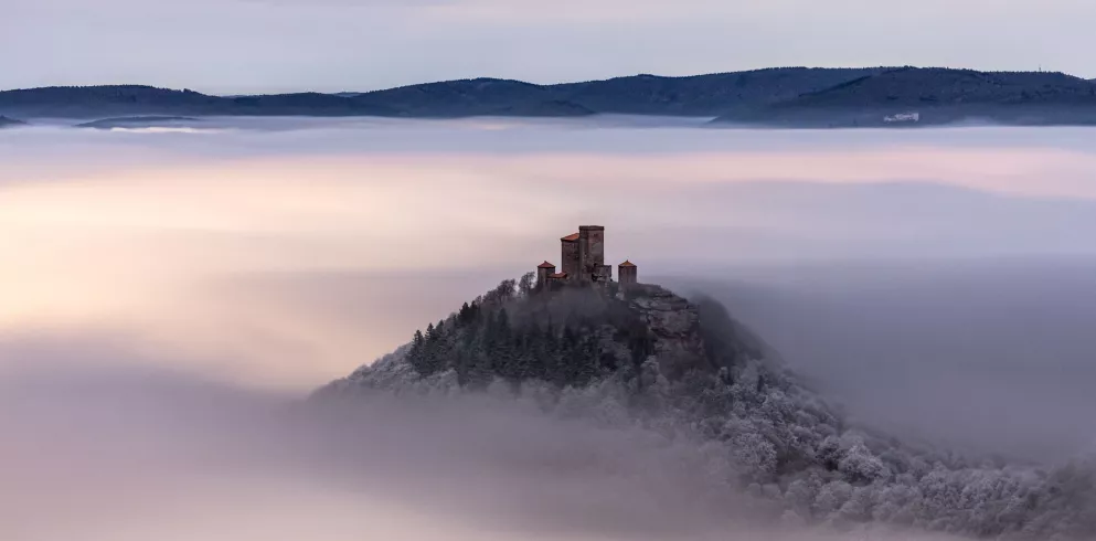 Burg Trifels im Winternebel