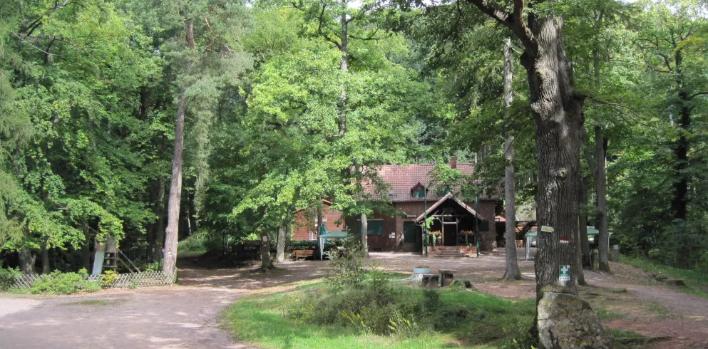 Landauer Hütte im Wald