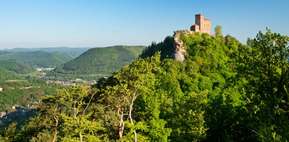 Blick auf Burg Trifels vom Annweilerer Burgenweg aus