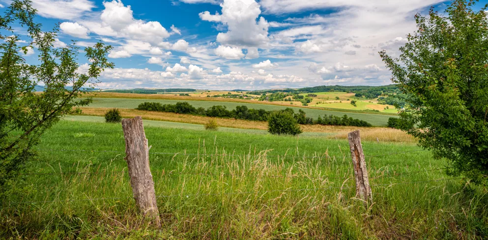 Blick über das Pfälzer Bergland