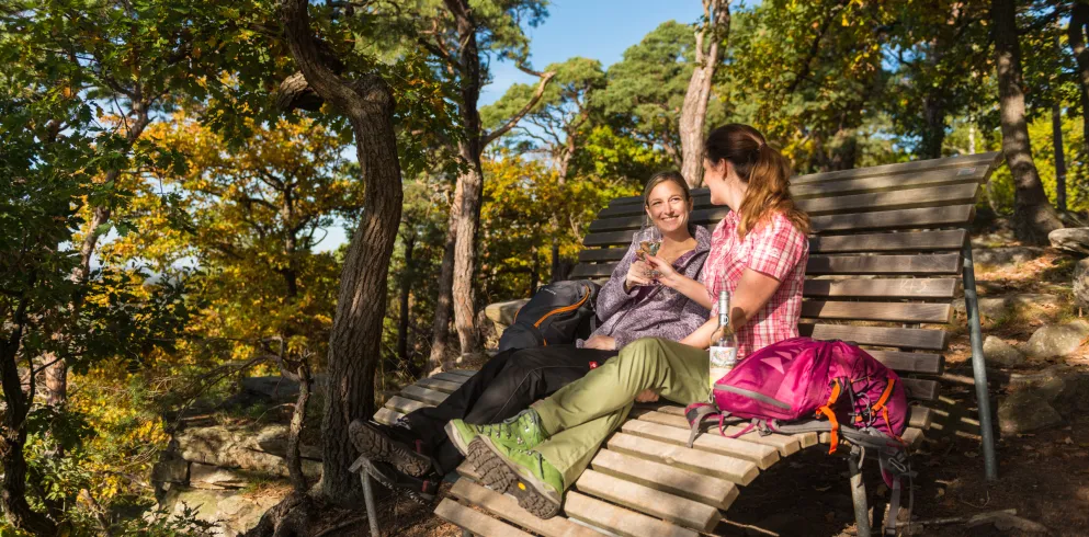 Wanderer beim Wein trinken auf Ruhebank im Pfälzerwald bei Neustadt 