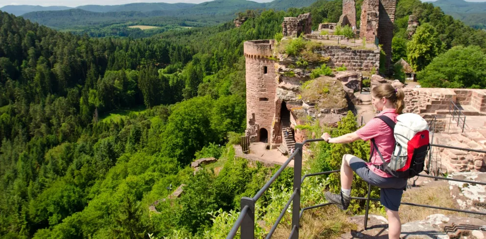 Wanderin mit Ausblick über den Pfälzerwald auf der Burgruine Alt-Dahn