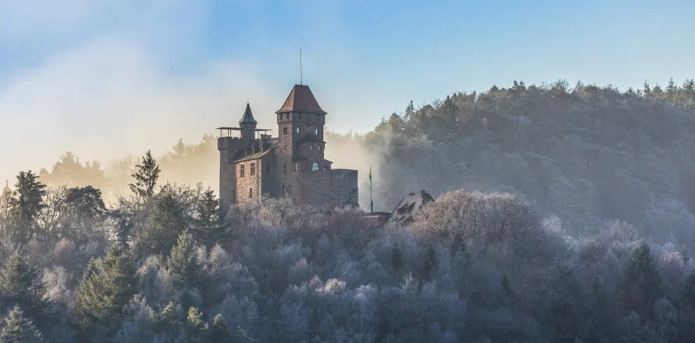 Burg Berwartstein an einem Wintermorgen
